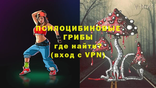 ПСИЛОЦИБИНОВЫЕ ГРИБЫ Армянск