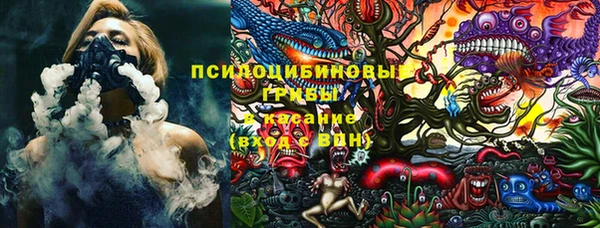кокс Арсеньев