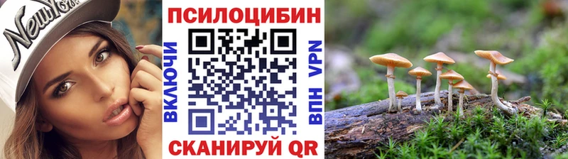 хочу   Лесной  shop состав  Псилоцибиновые грибы мухоморы  OMG как войти 